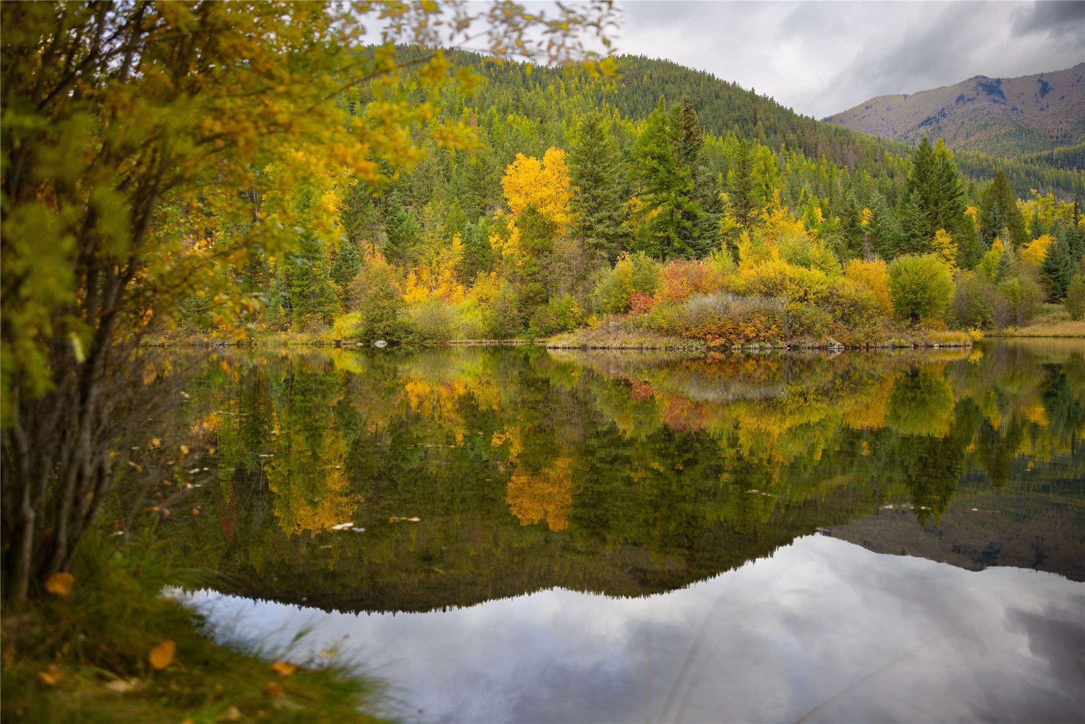 2400 Therriault Pass Road Unit: 230.179 Acres