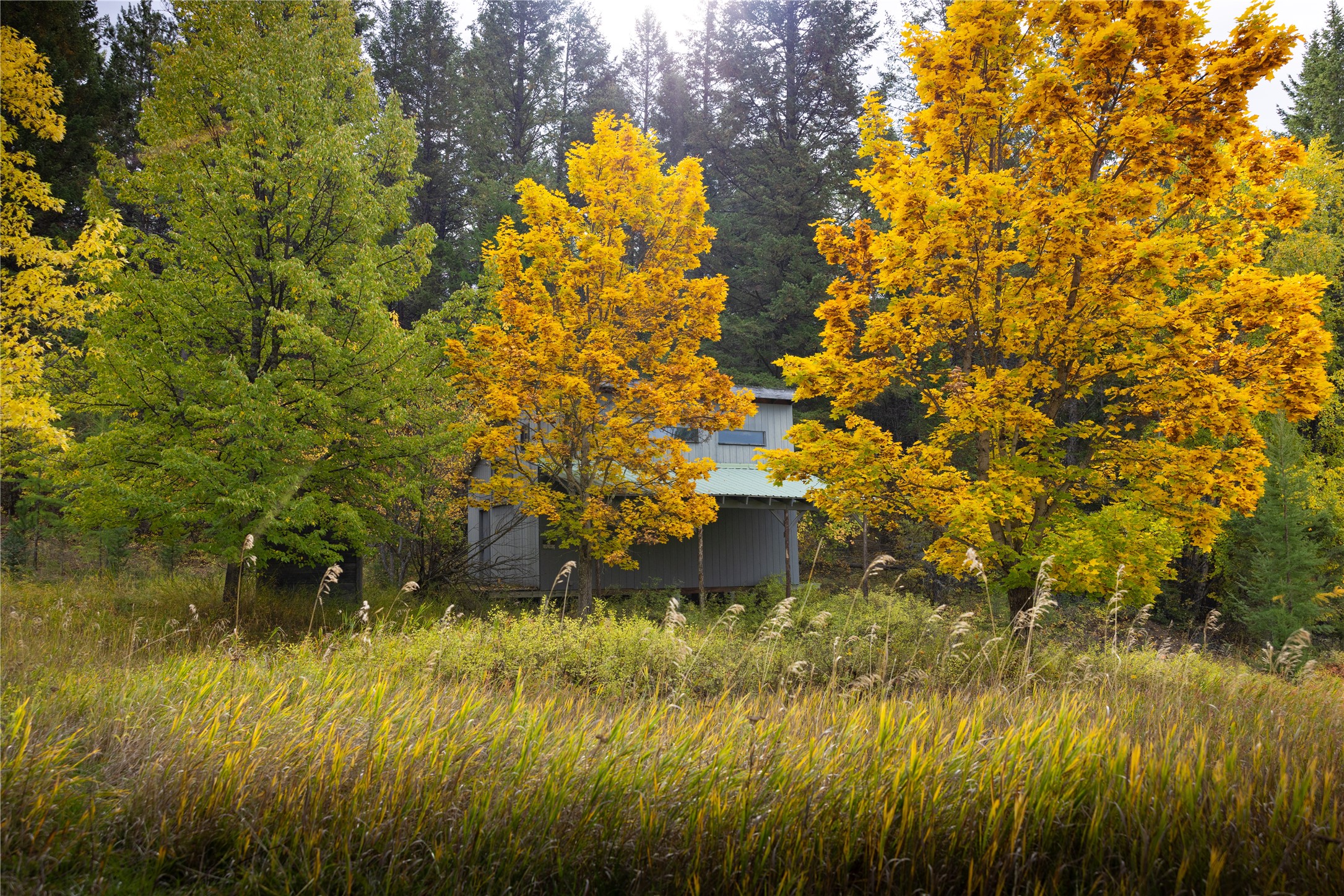 2400 Therriault Pass Road Unit: 230.179 Acres