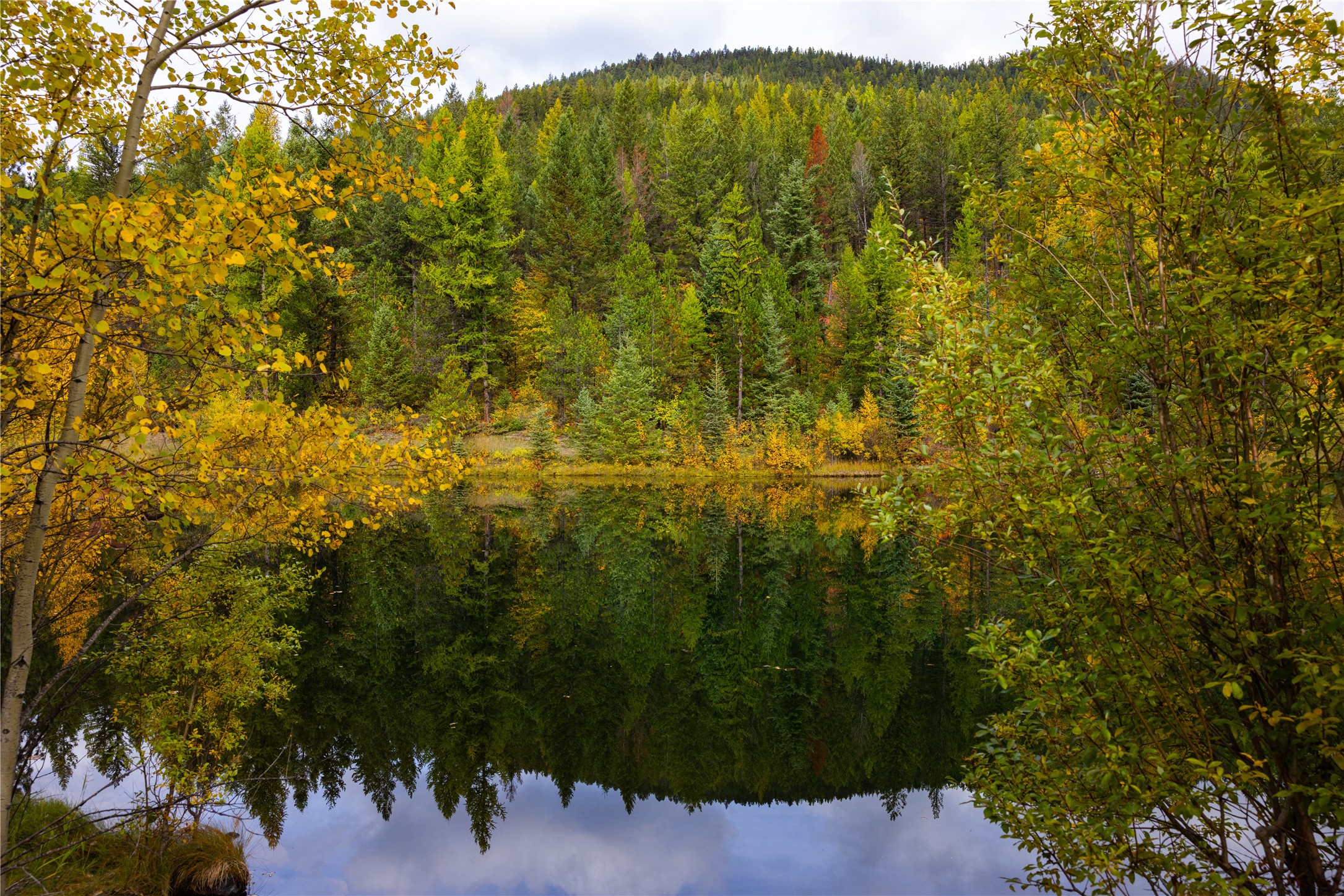 2400 Therriault Pass Road Unit: 230.179 Acres