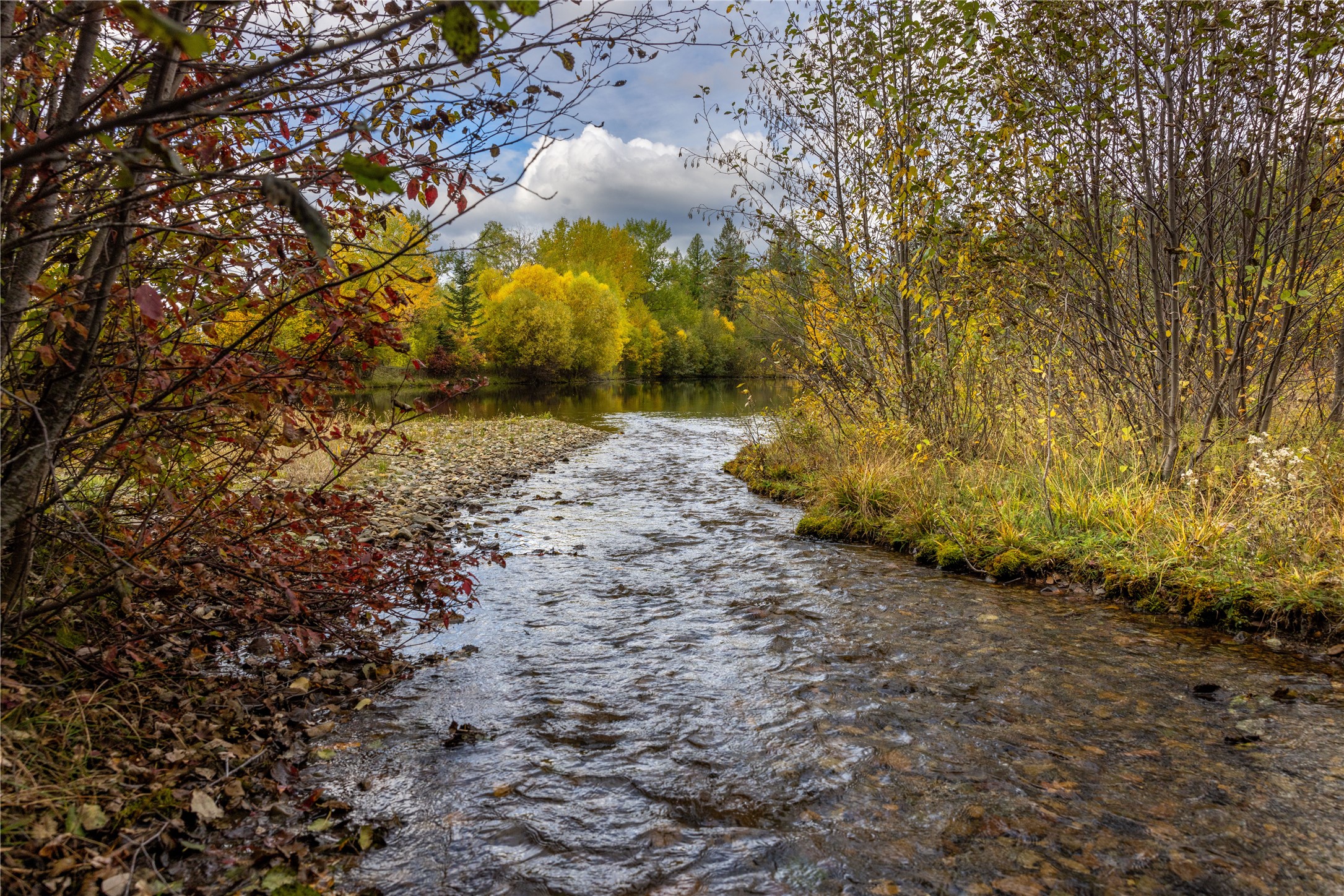 2400 Therriault Pass Road Unit: 230.179 Acres