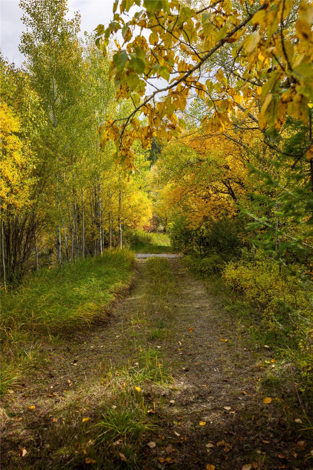 2400 Therriault Pass Road Unit: 230.179 Acres