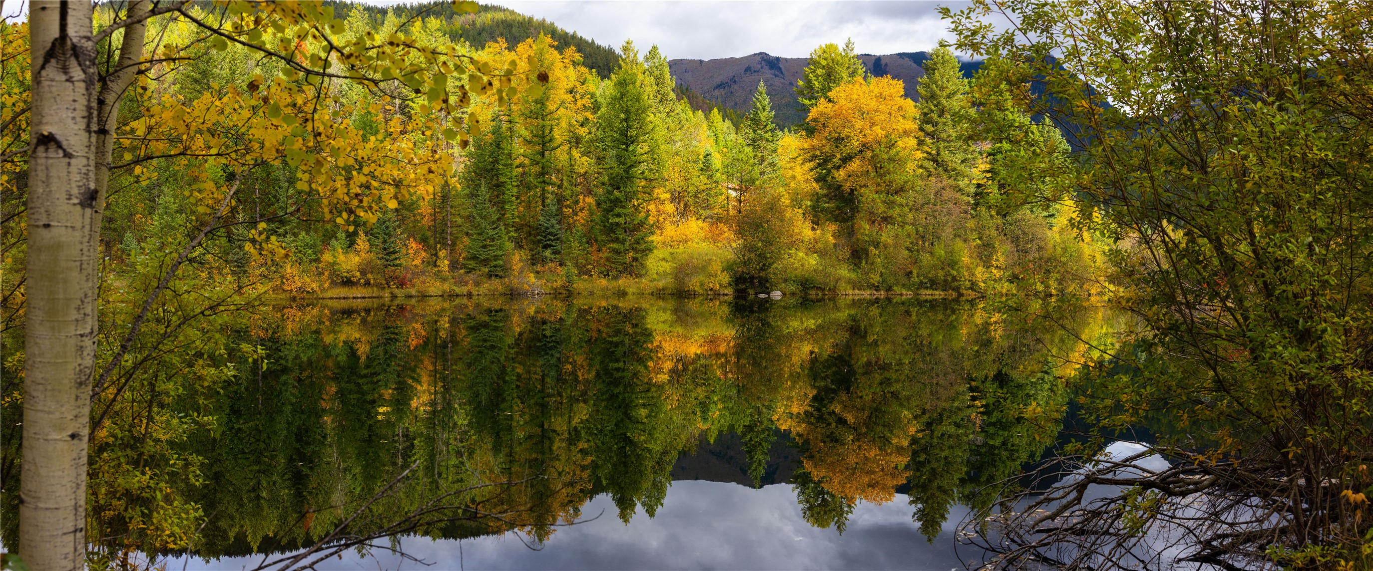 2400 Therriault Pass Road Unit: 230.179 Acres