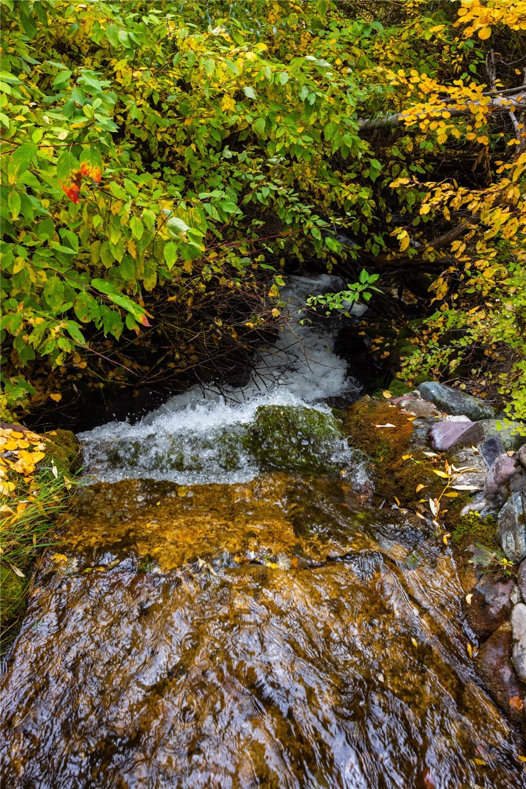 2400 Therriault Pass Road Unit: 230.179 Acres