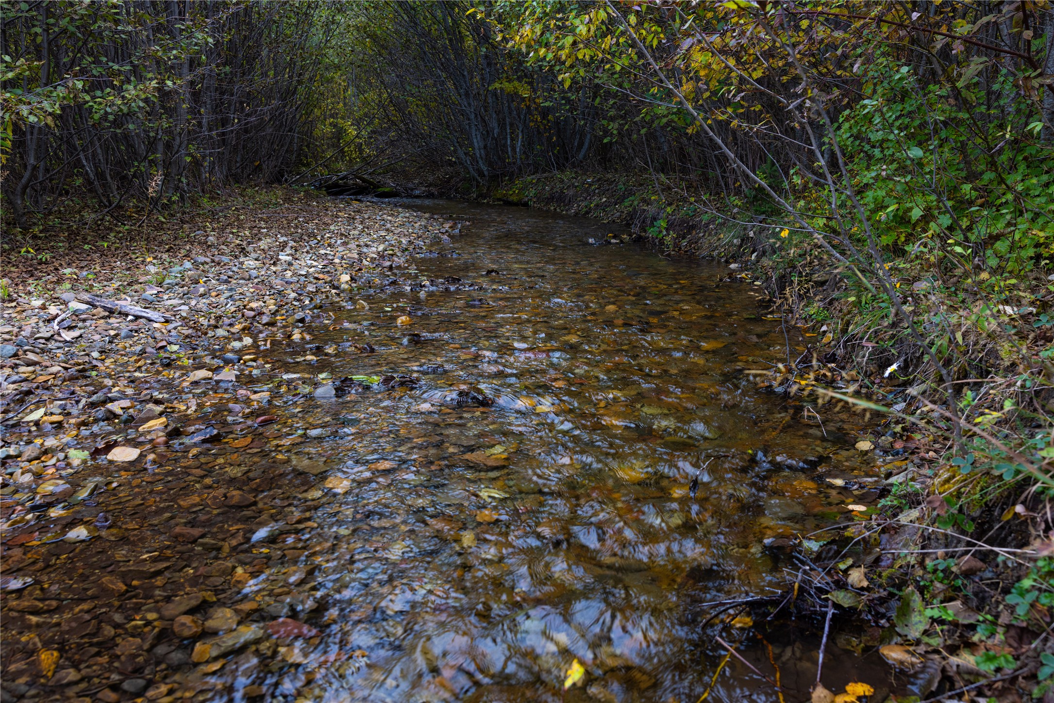 2400 Therriault Pass Road Unit: 230.179 Acres