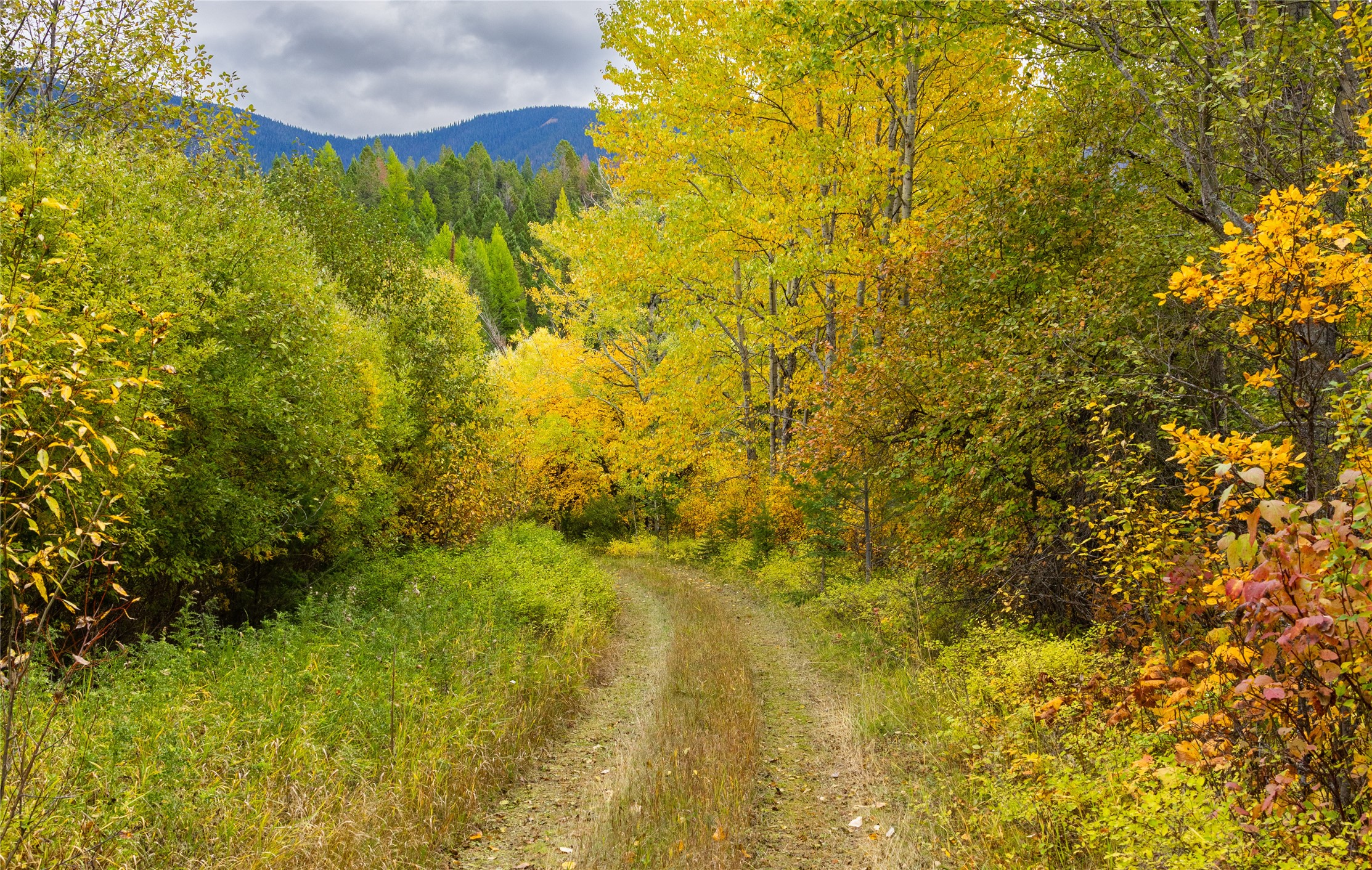 2400 Therriault Pass Road Unit: 230.179 Acres