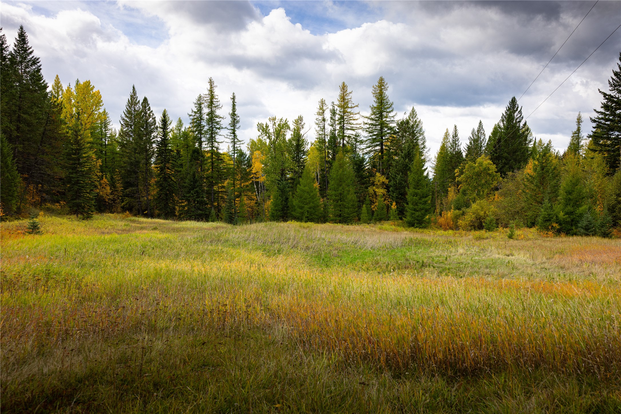 2400 Therriault Pass Road Unit: 230.179 Acres