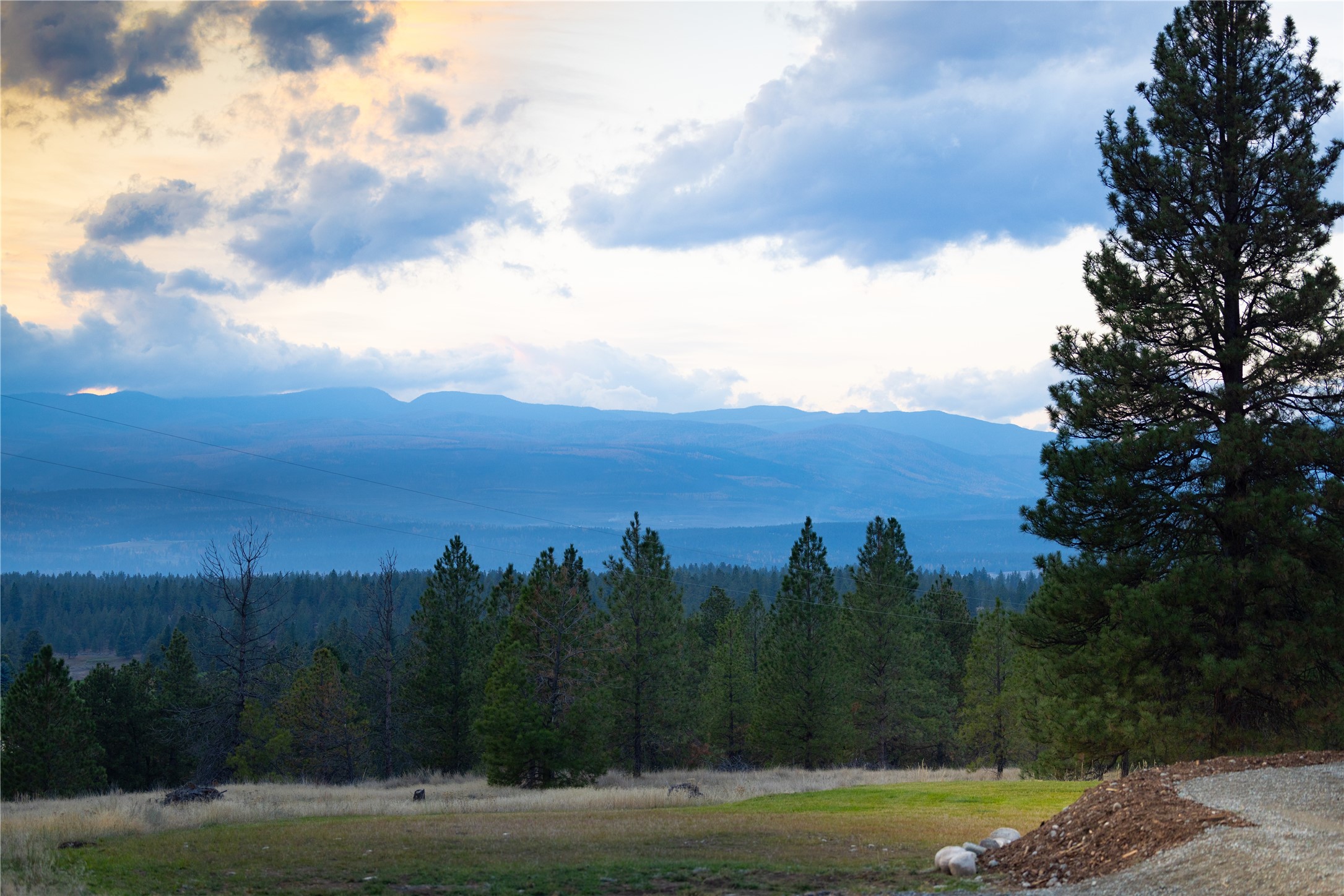 223/233 Happy Hollow