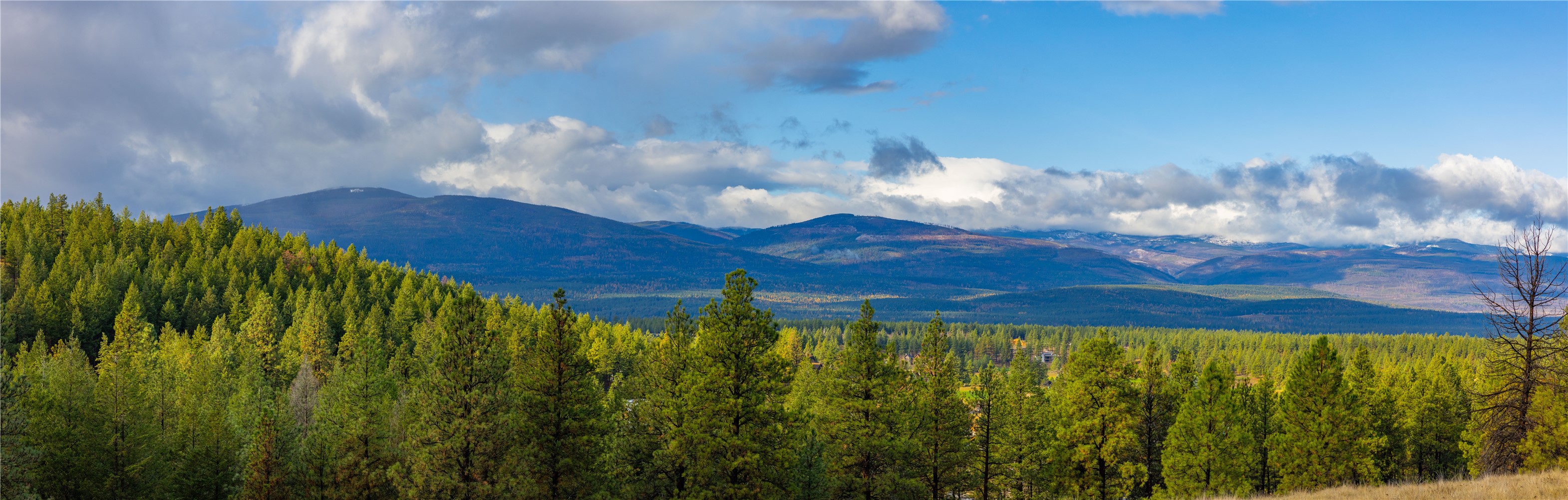 223/233 Happy Hollow