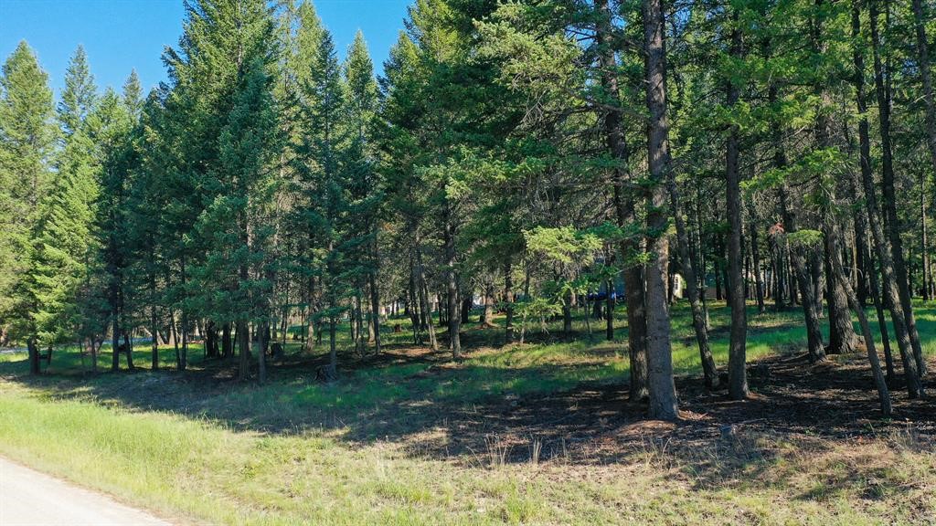 Lot 50 Forest Loop