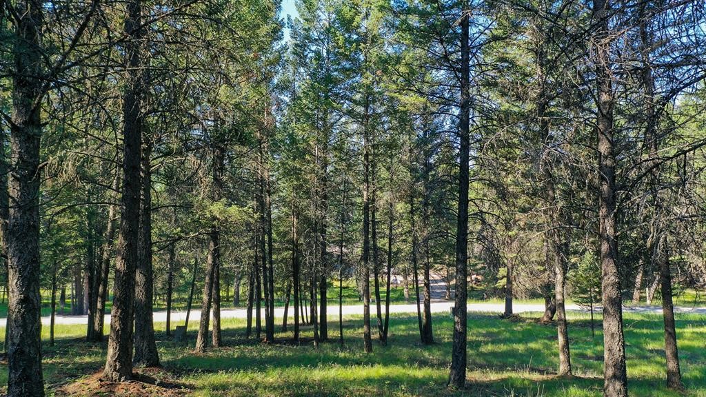 Lot 50 Forest Loop