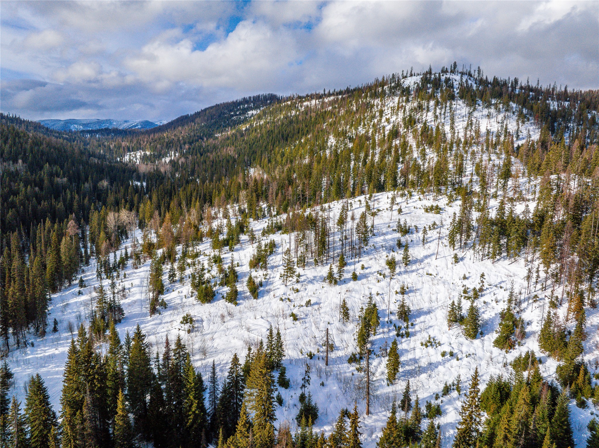 Nhn Kelly Mountain Road