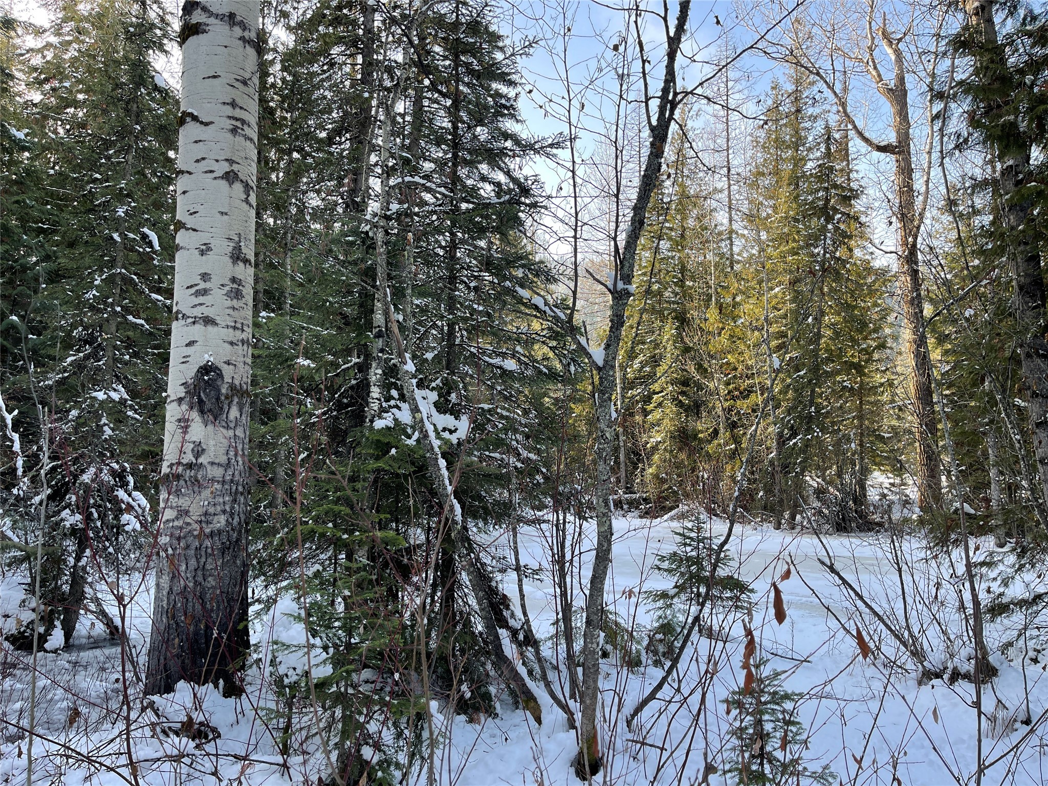 Nhn Kelly Mountain Road