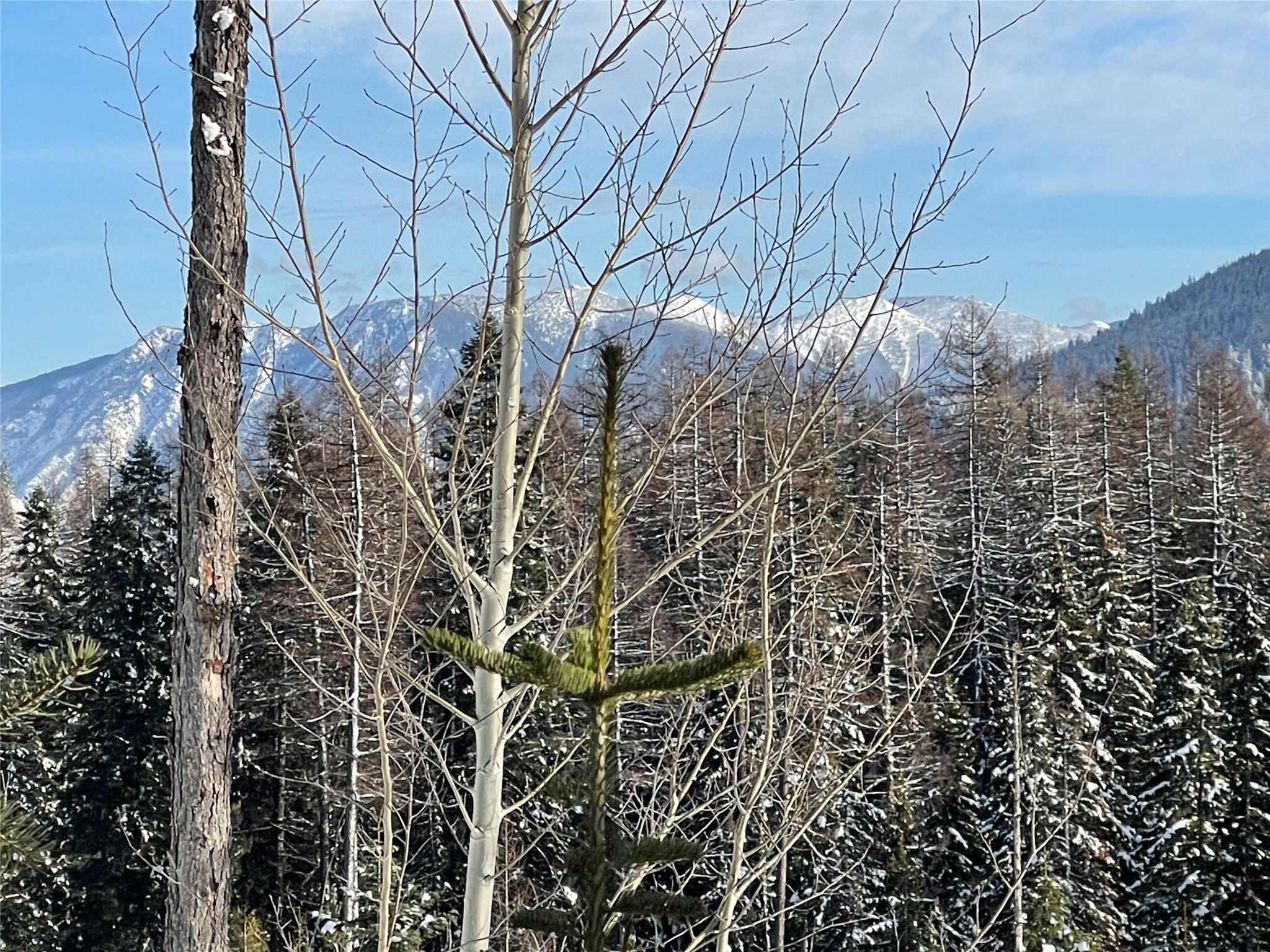 Nhn Kelly Mountain Road