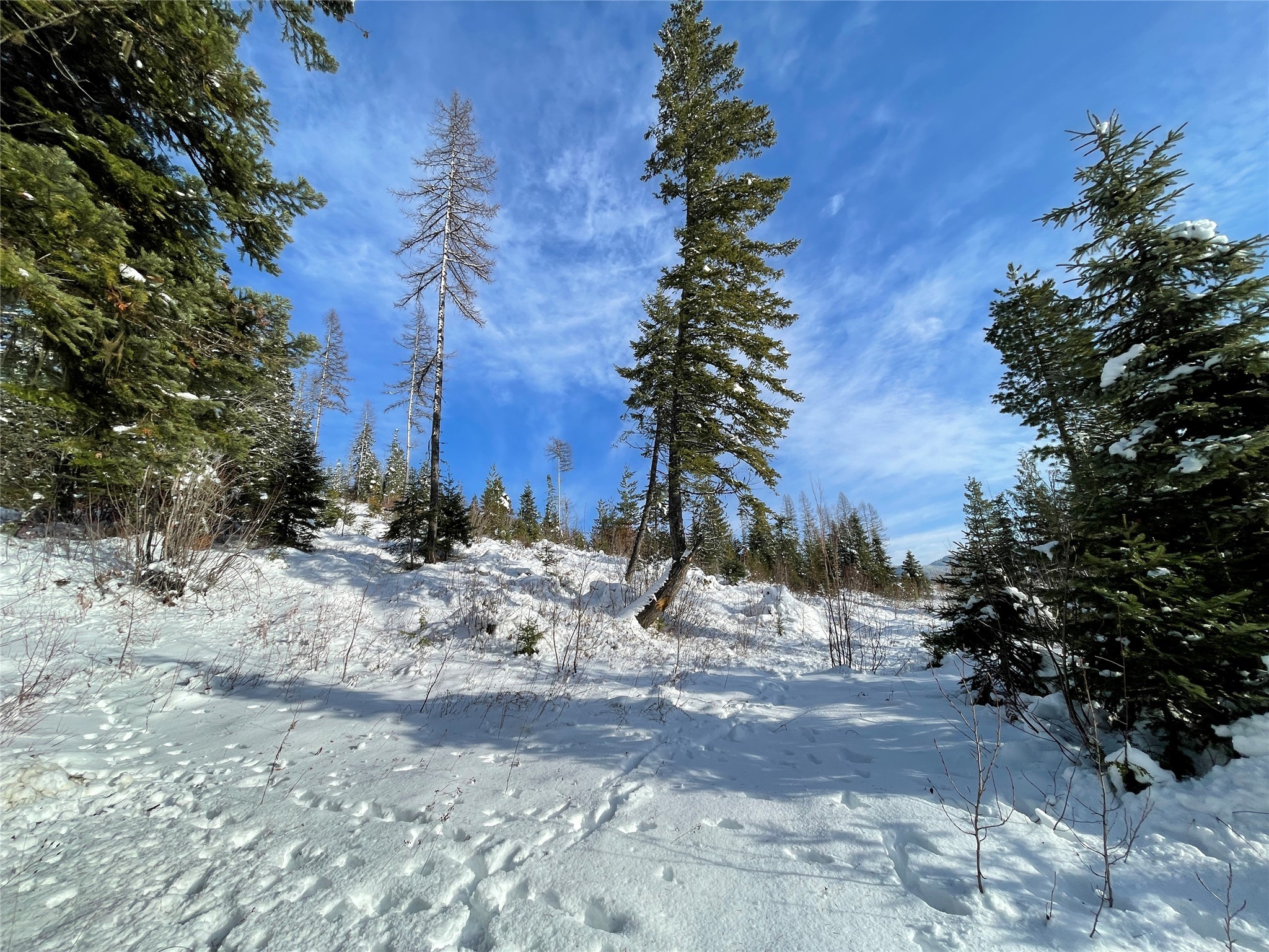 Nhn Kelly Mountain Road