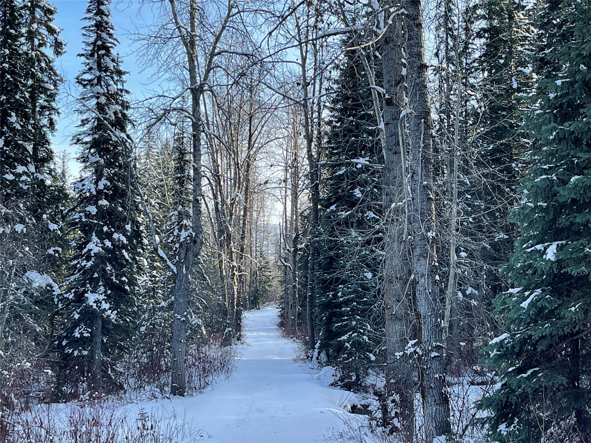 Nhn Kelly Mountain Road