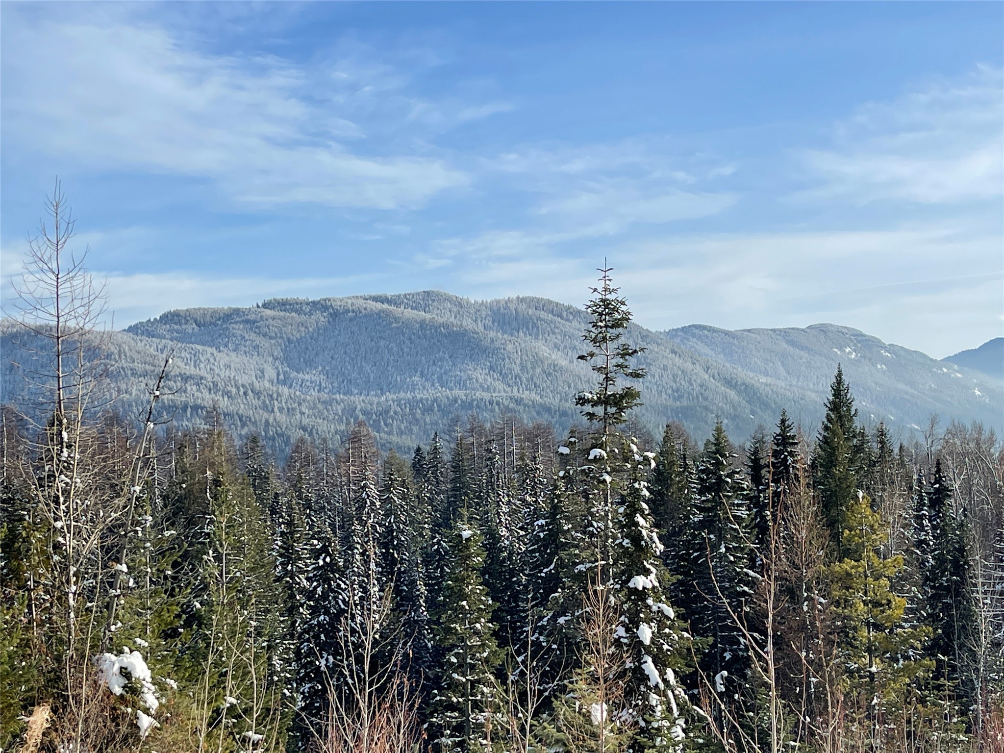 Nhn Kelly Mountain Road