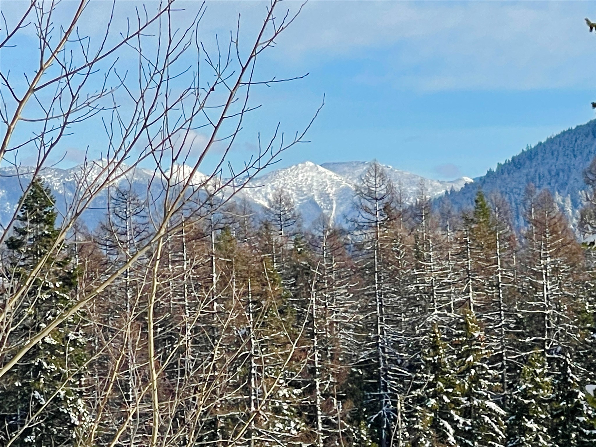 Nhn Kelly Mountain Road