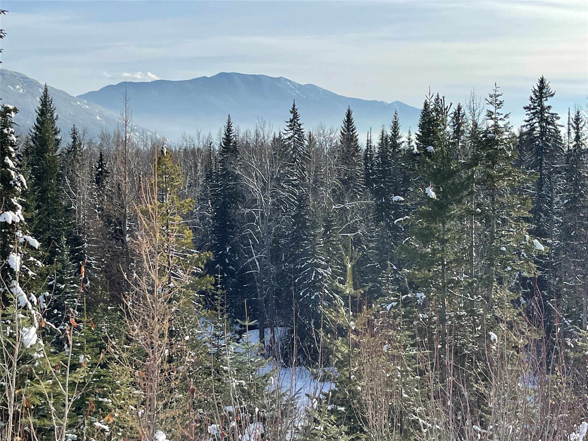 Nhn Kelly Mountain Road