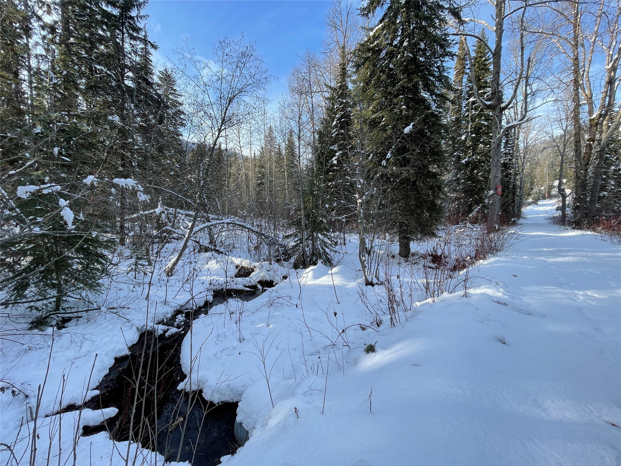 Nhn Kelly Mountain Road