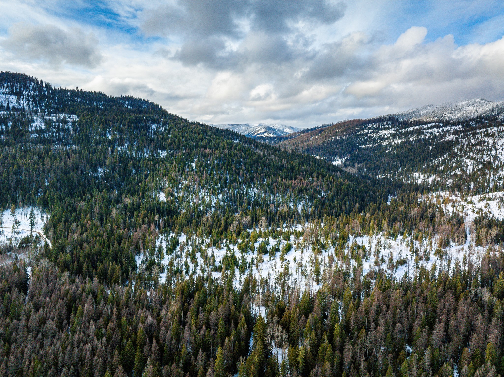 Nhn Kelly Mountain Road