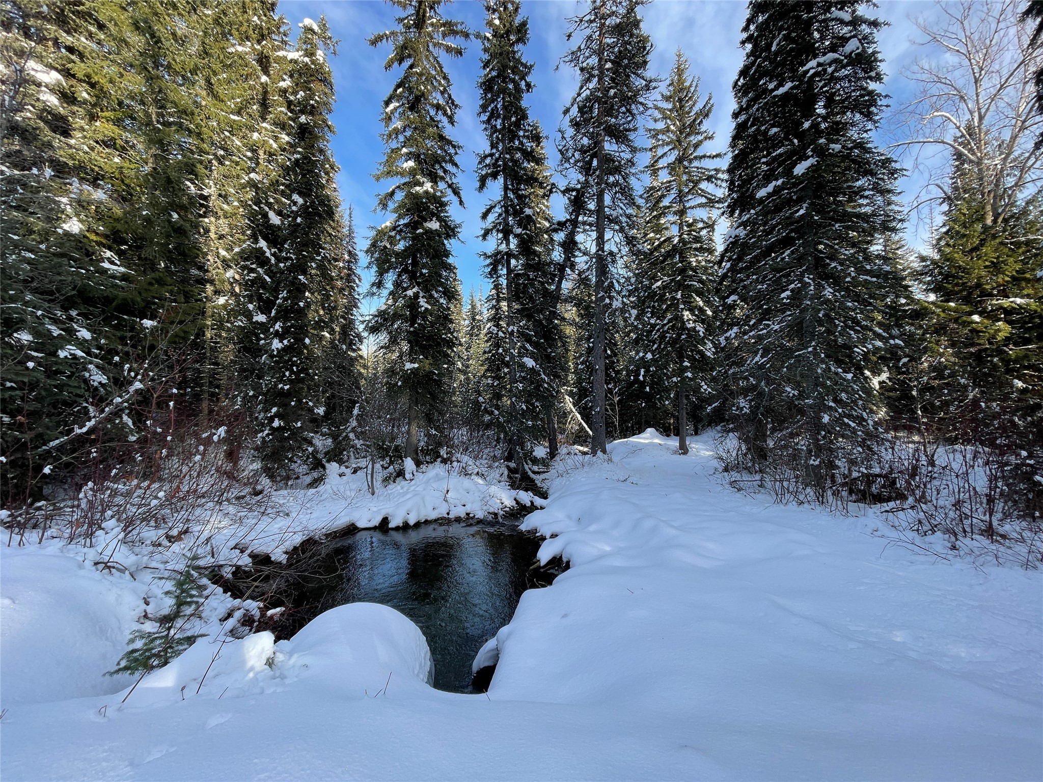 Nhn Kelly Mountain Road