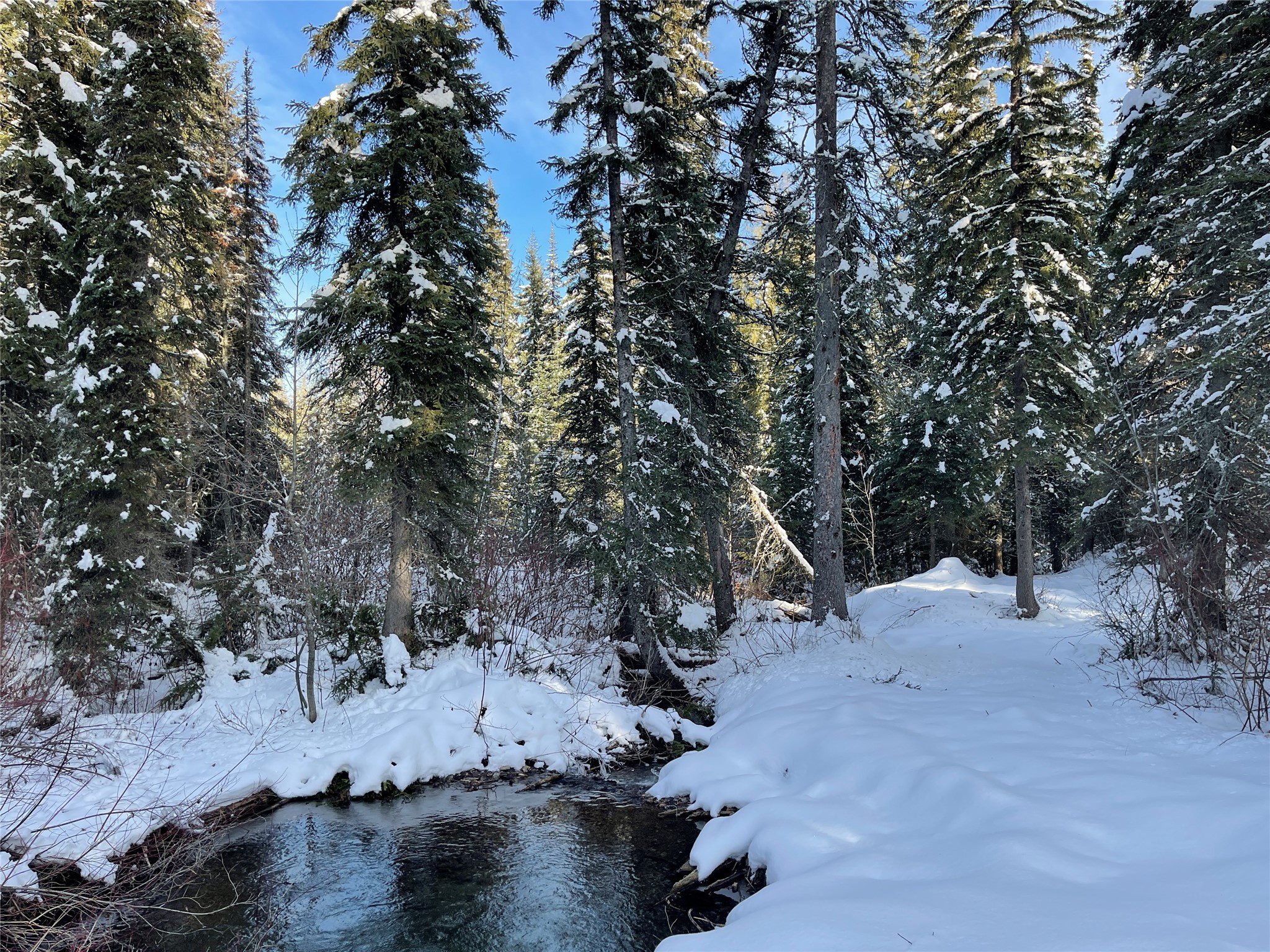 Nhn Kelly Mountain Road