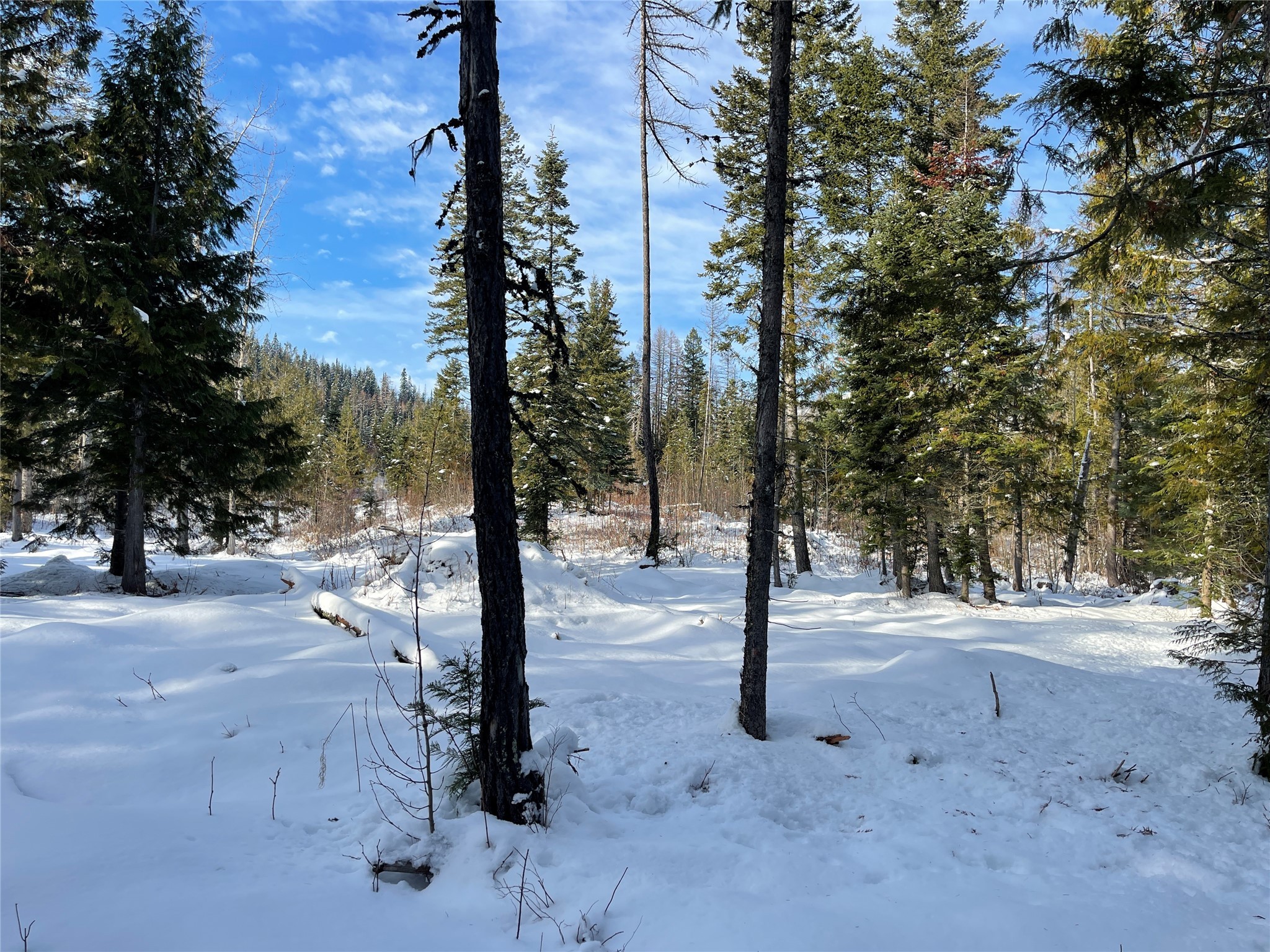 Nhn Kelly Mountain Road