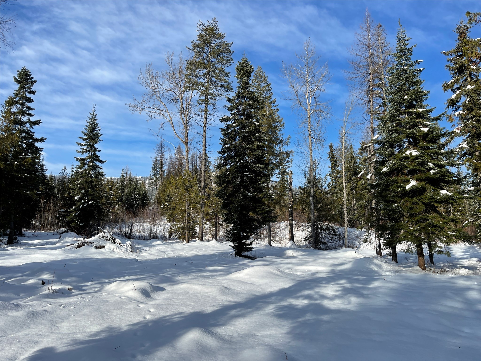 Nhn Kelly Mountain Road