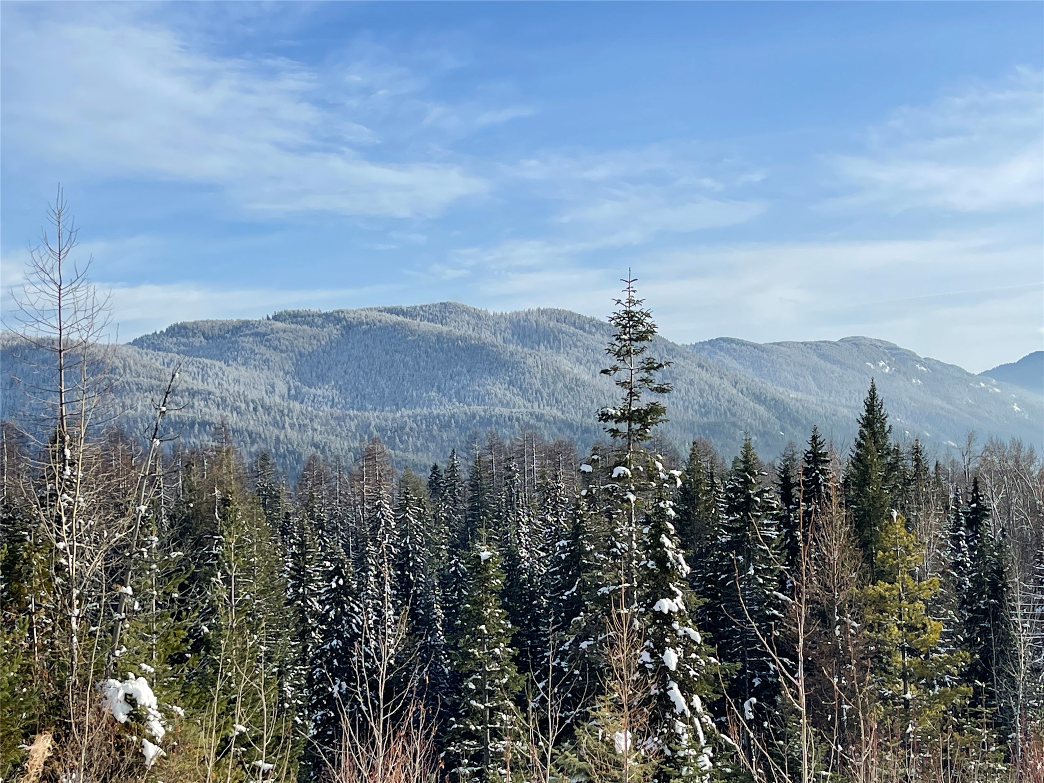 Nhn Kelly Mountain Road