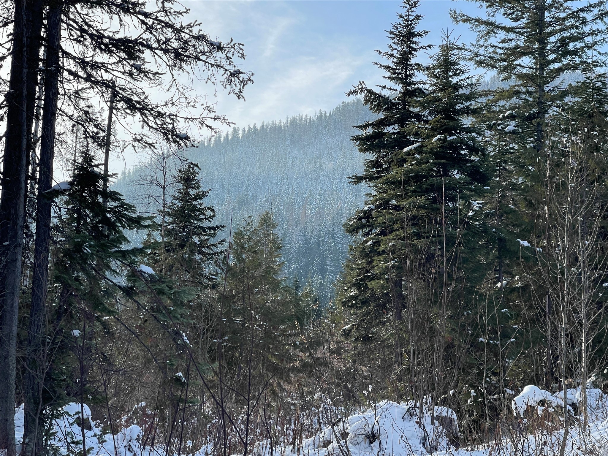 Nhn Kelly Mountain Road