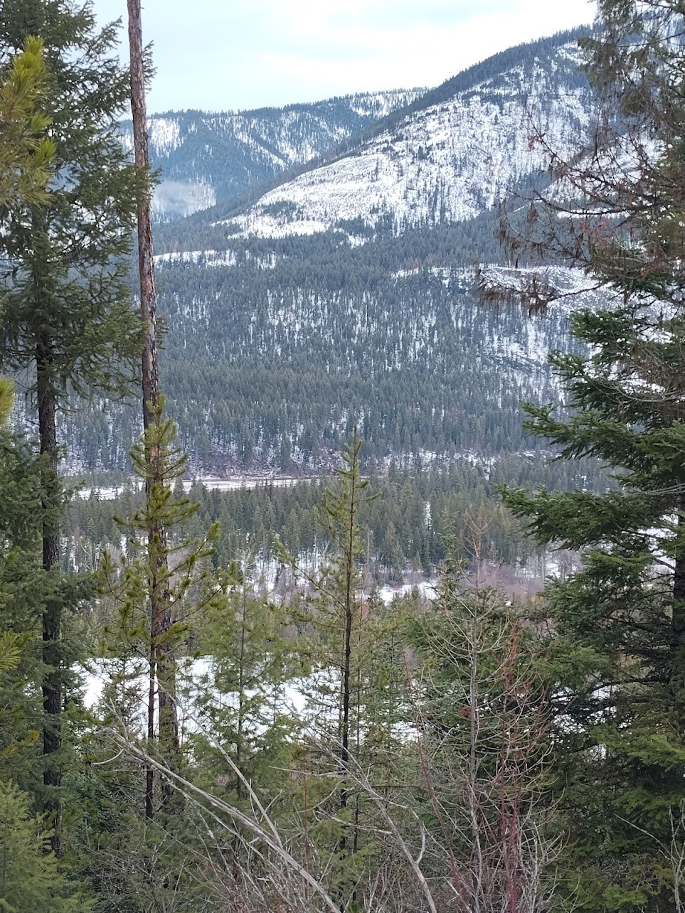 Lot 5 Overview Drive