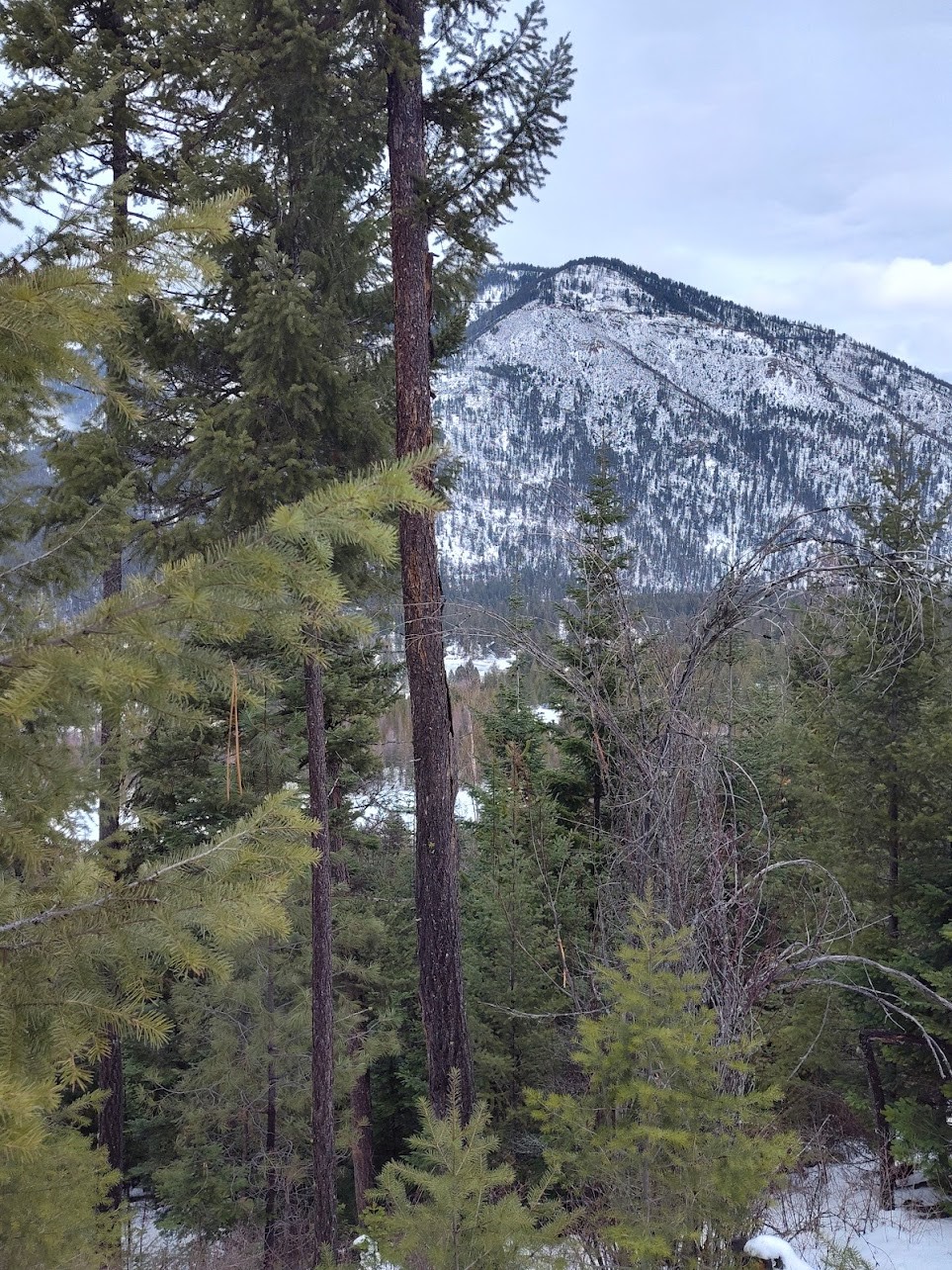 Lot 5 Overview Drive