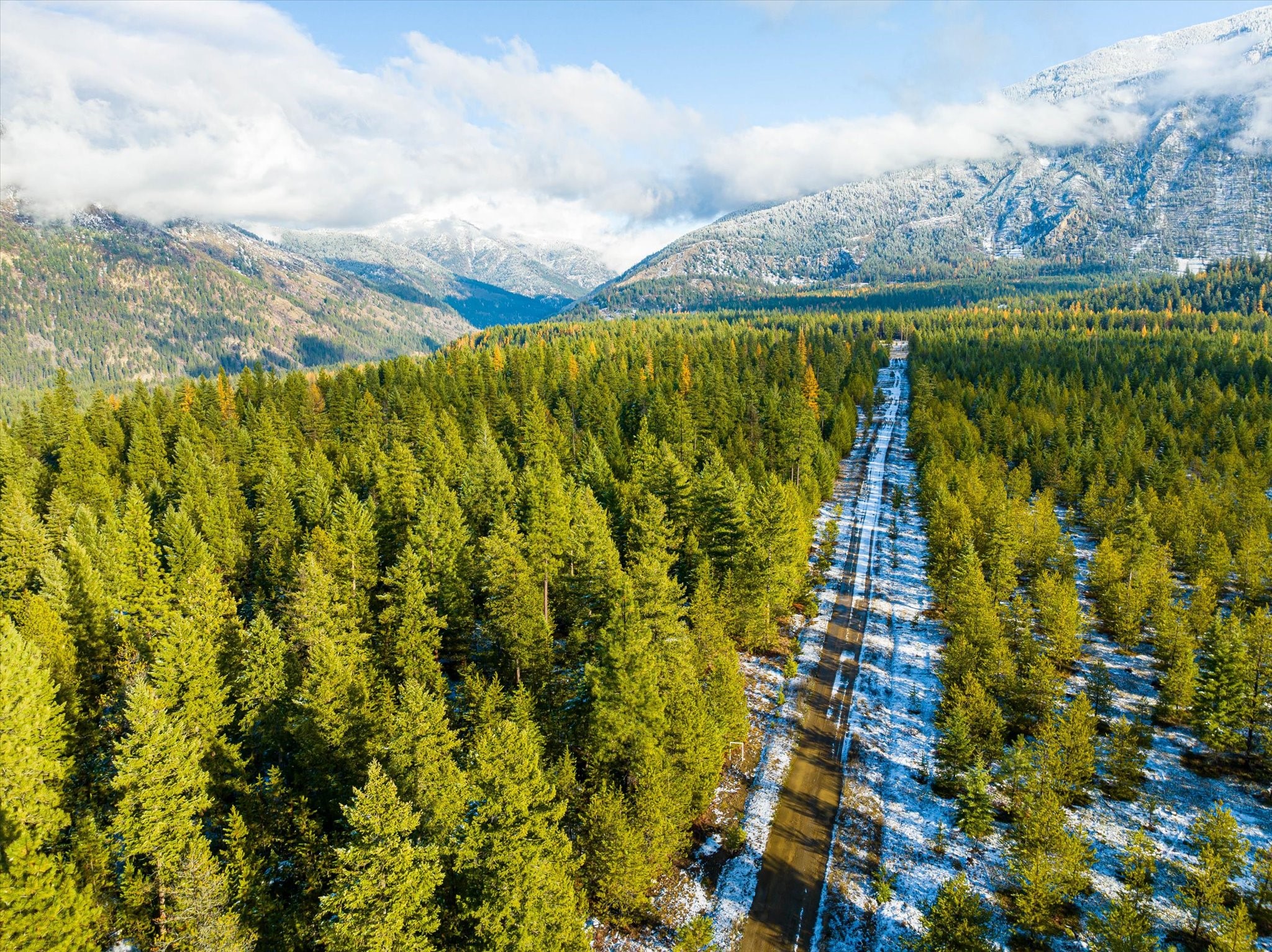 Lot 5 Overview Drive