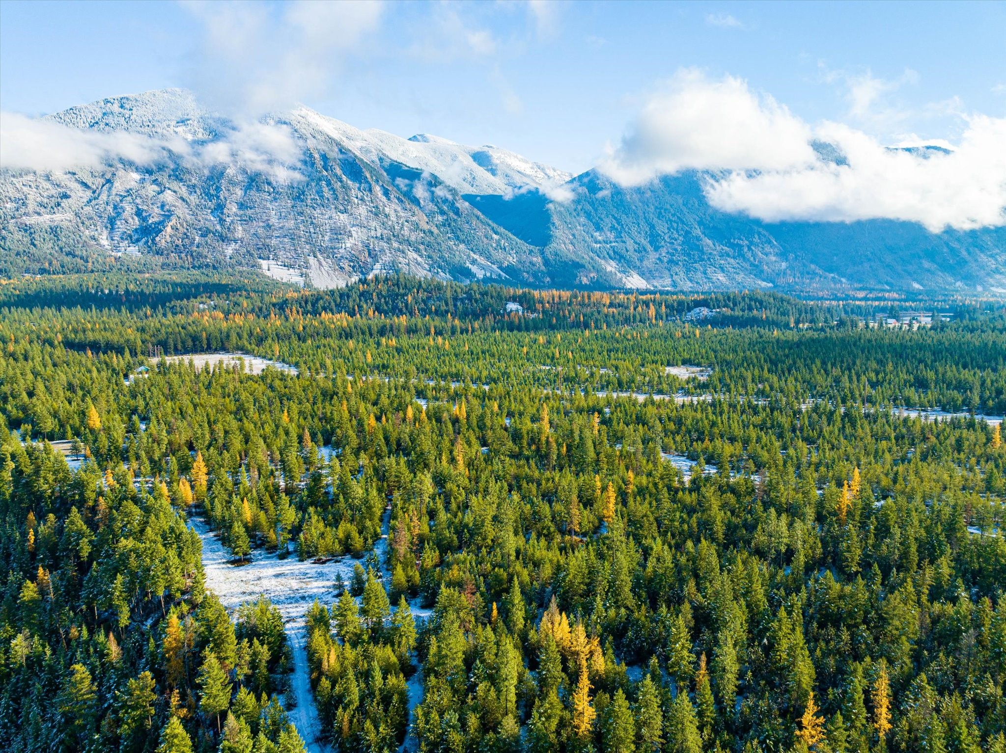 Lot 5 Overview Drive