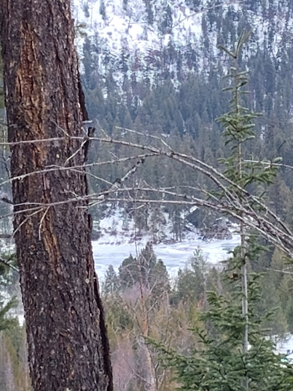 Lot 5 Overview Drive