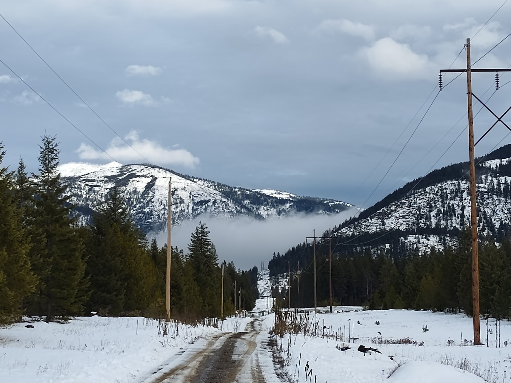 Lot 5 Overview Drive