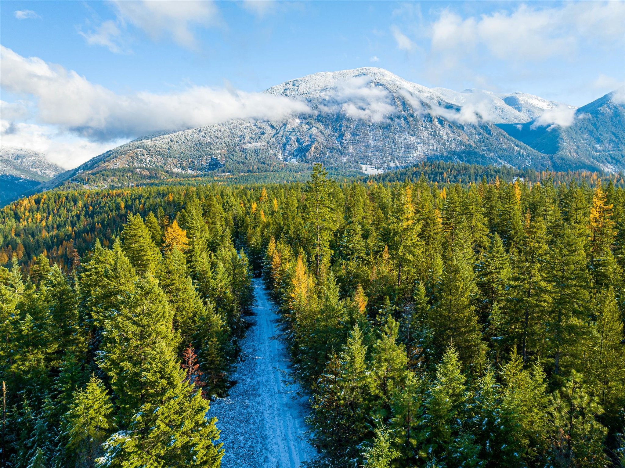 Lot 5 Overview Drive