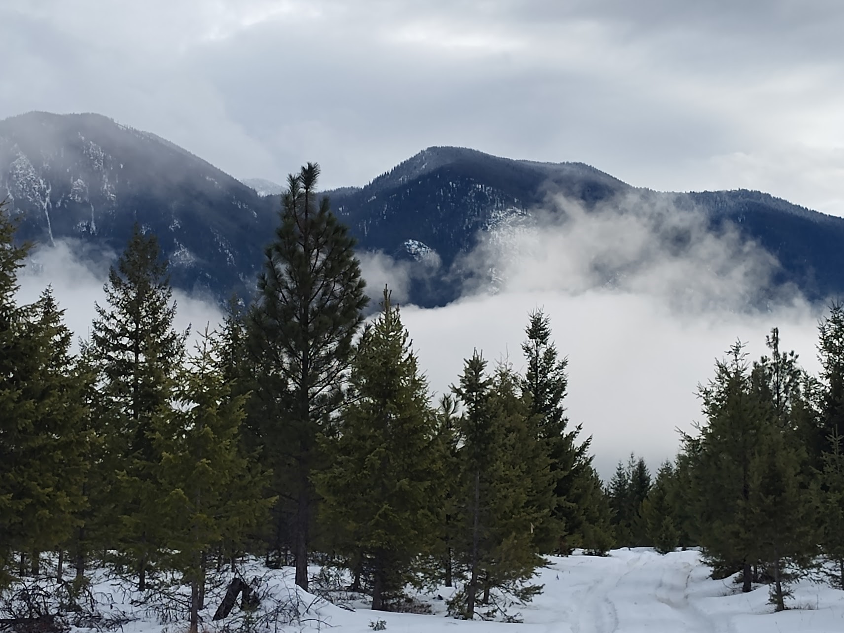 Lot 5 Overview Drive