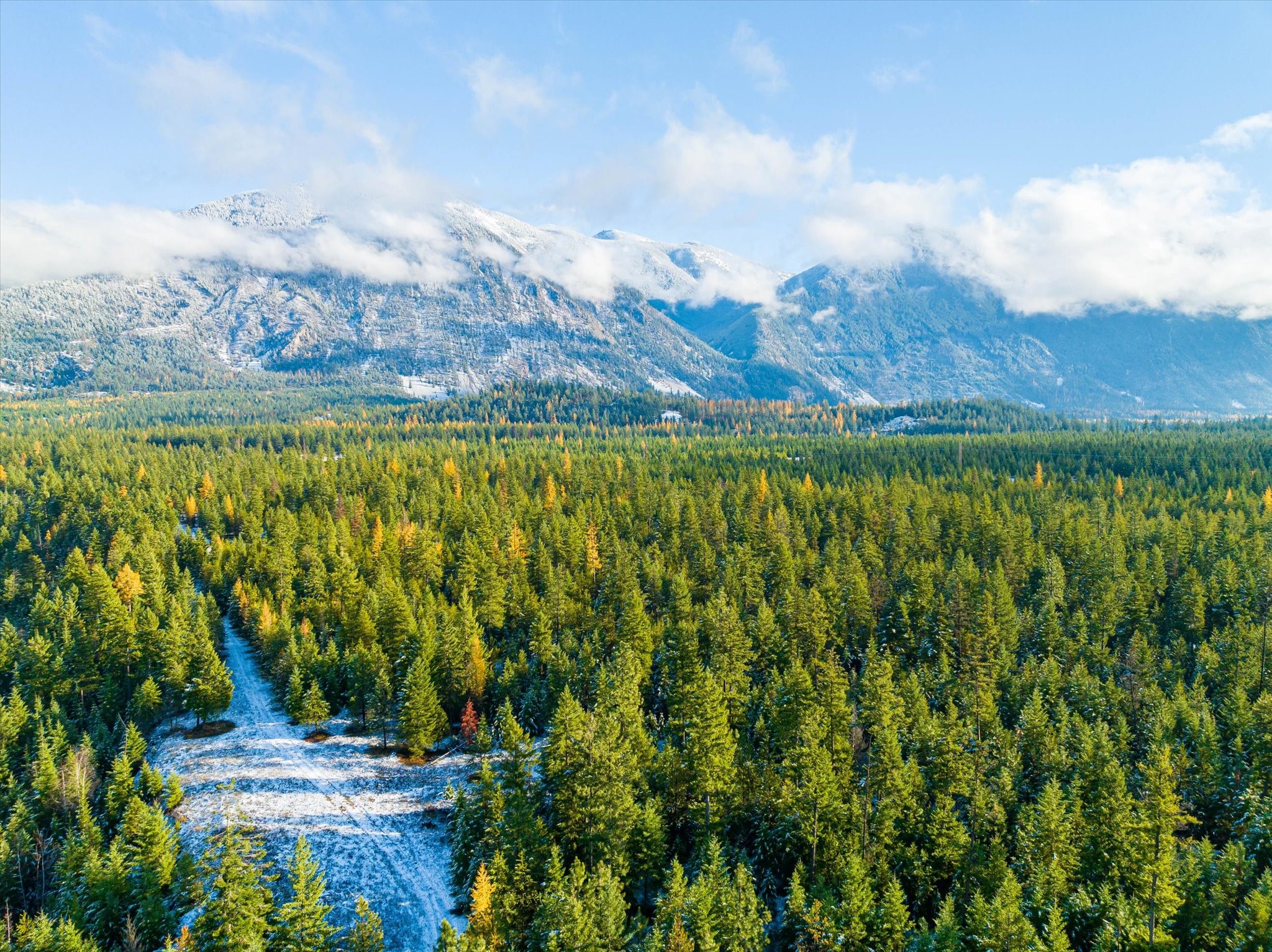 Lot 5 Overview Drive