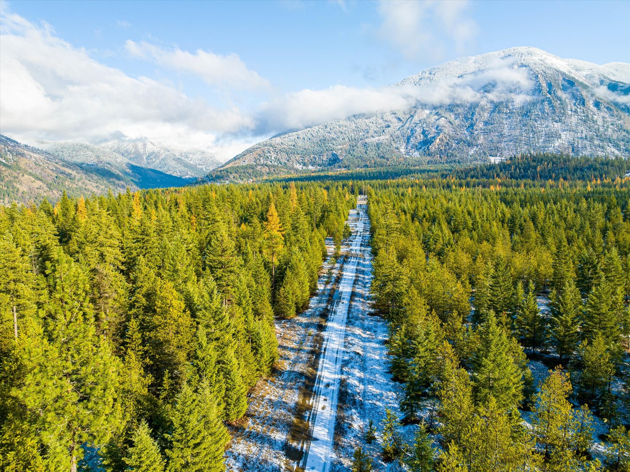 Lot 5 Overview Drive