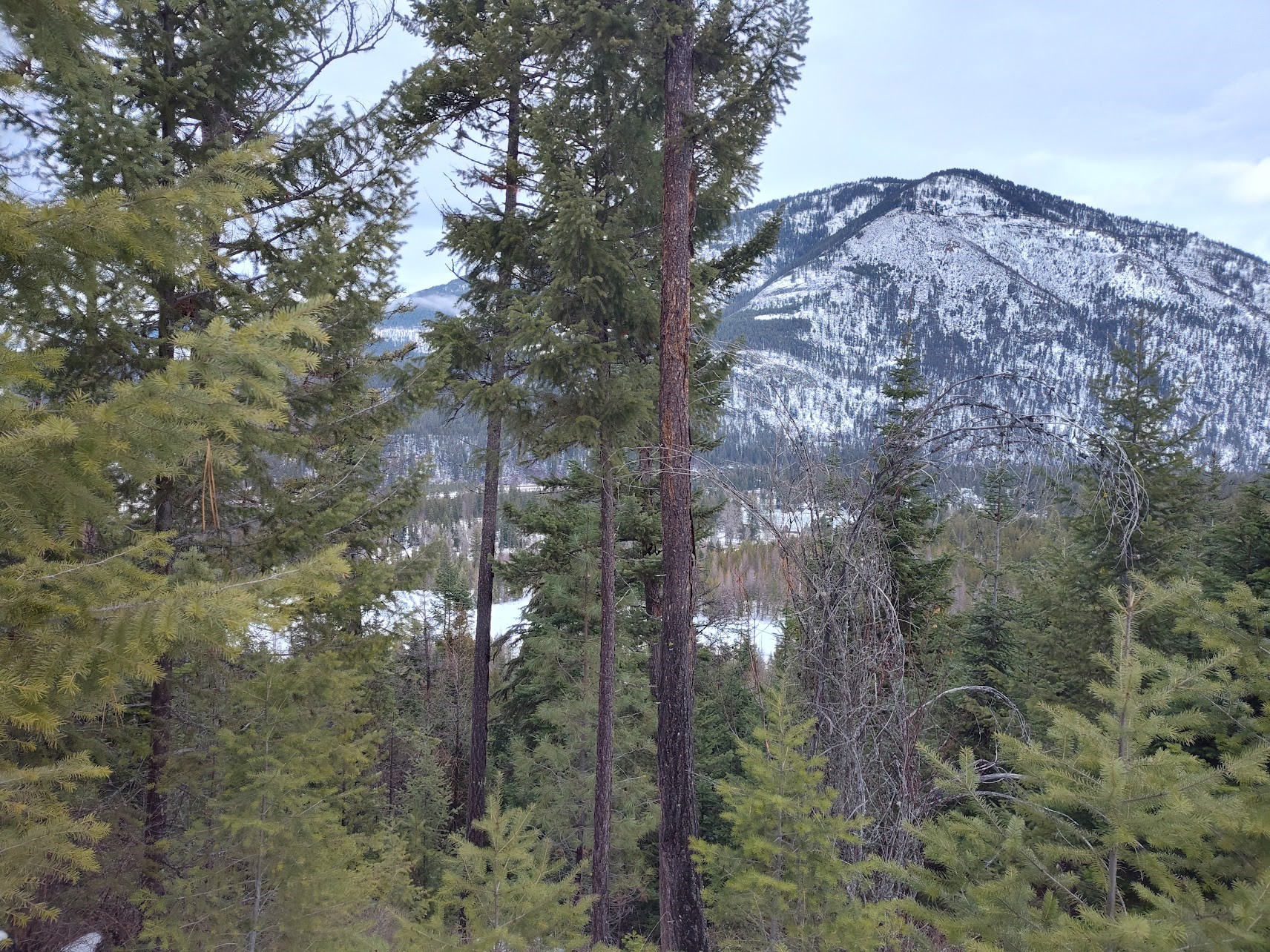 Lot 5 Overview Drive