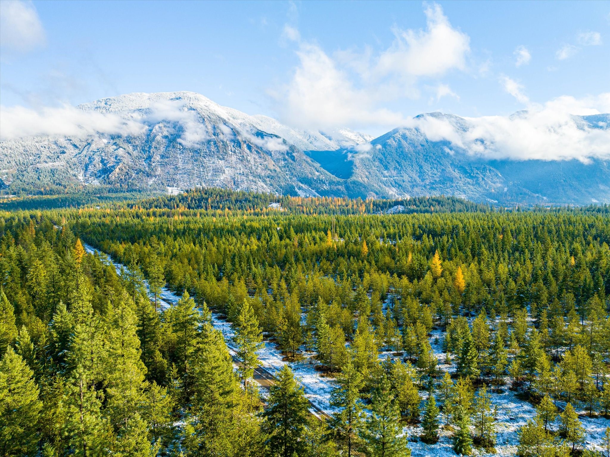 Lot 5 Overview Drive