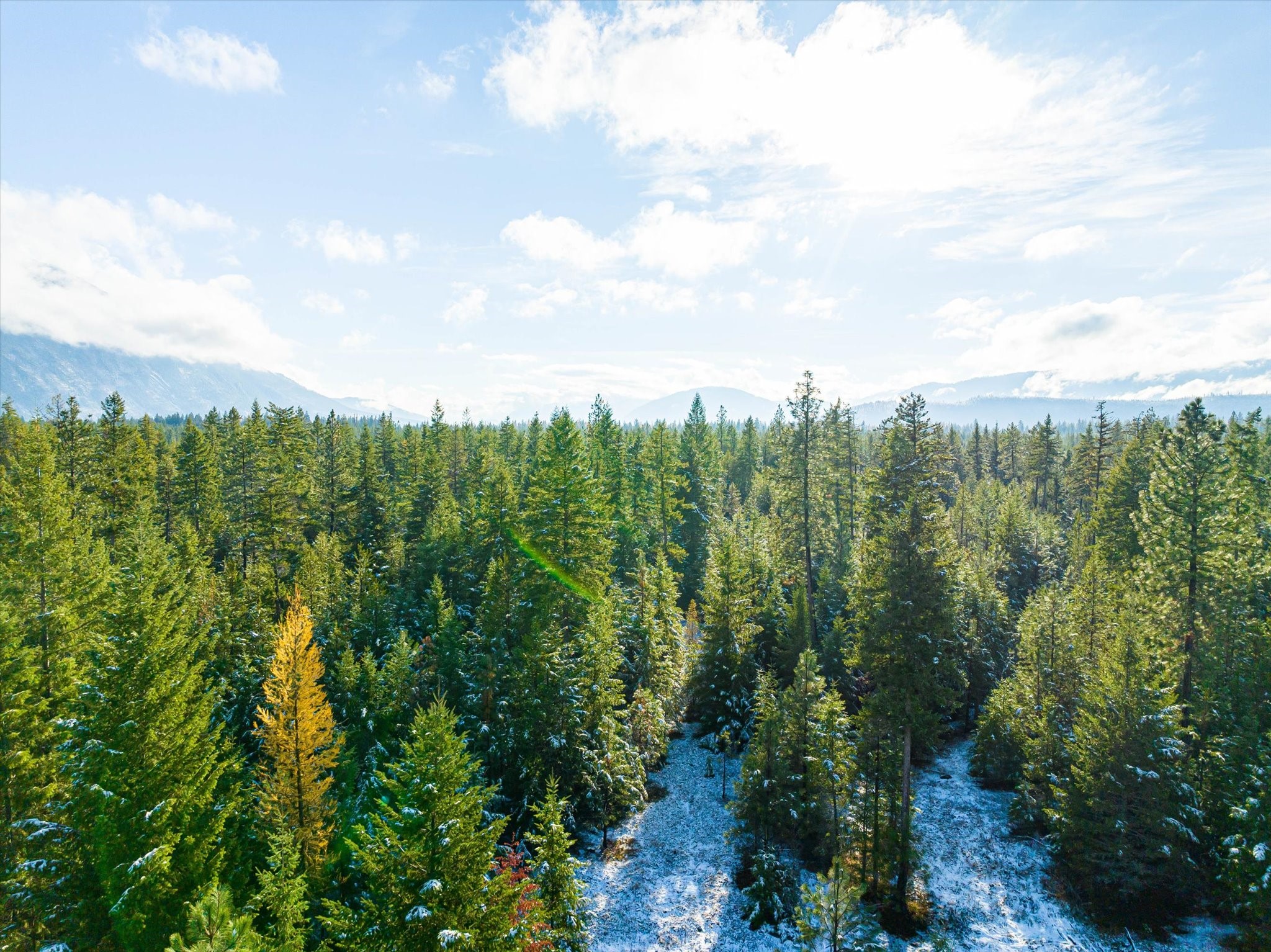 Lot 5 Overview Drive