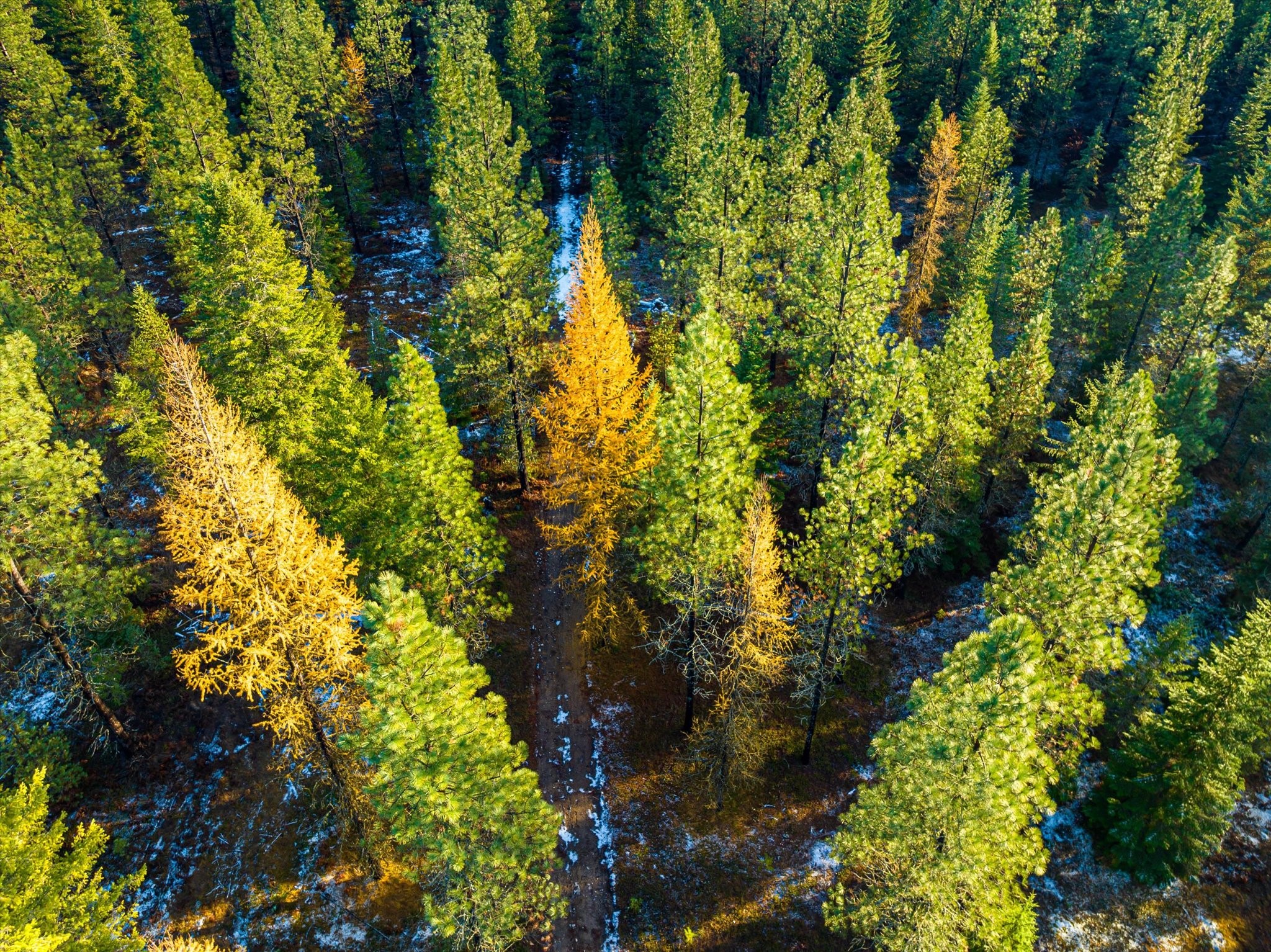 Lot 1C Big Timber Lane