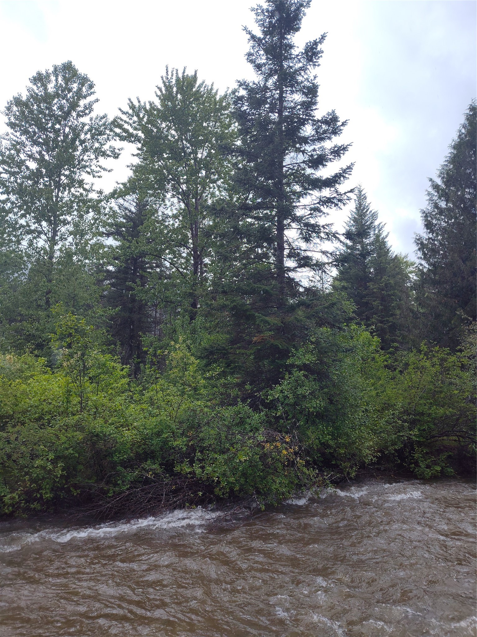 Lot 1C Big Timber Lane