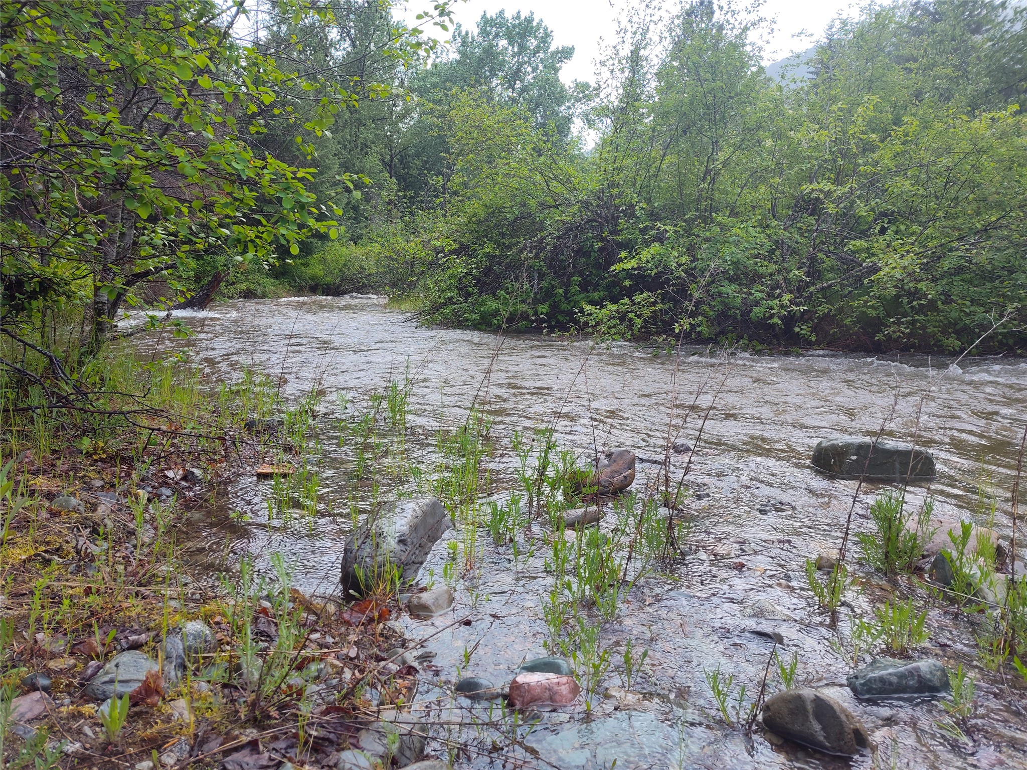 Lot 1C Big Timber Lane