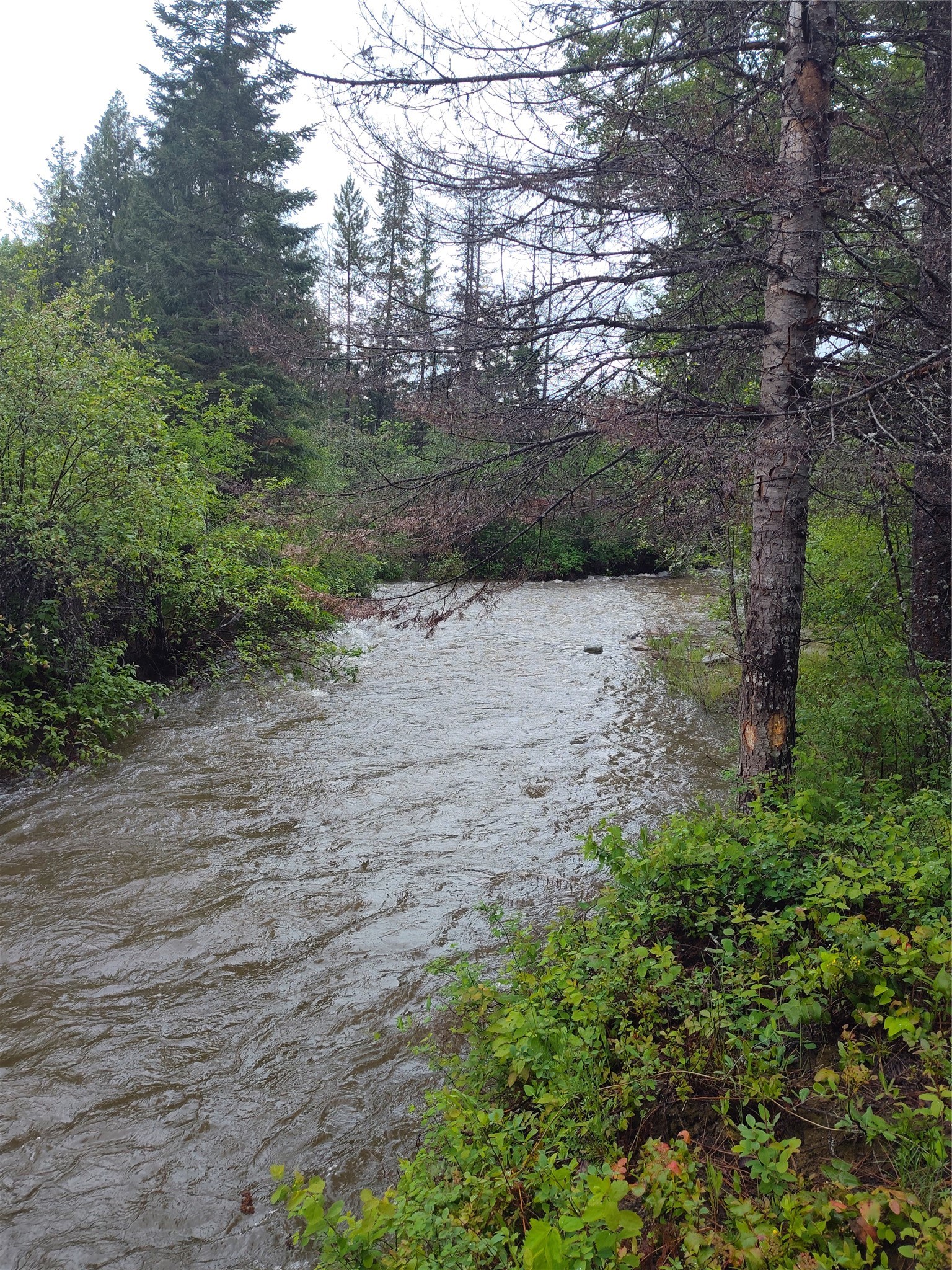 Lot 1C Big Timber Lane