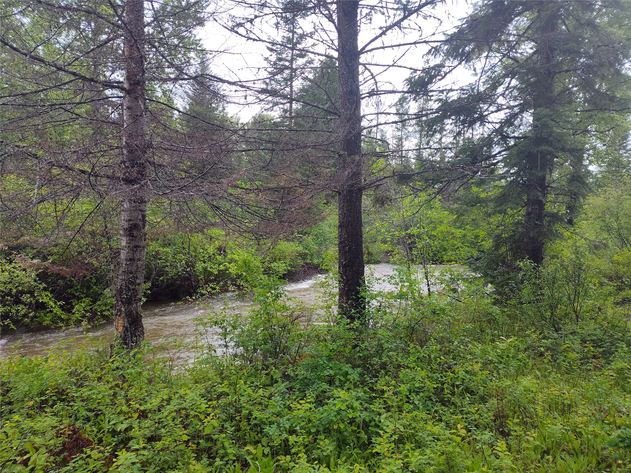 Lot 1C Big Timber Lane