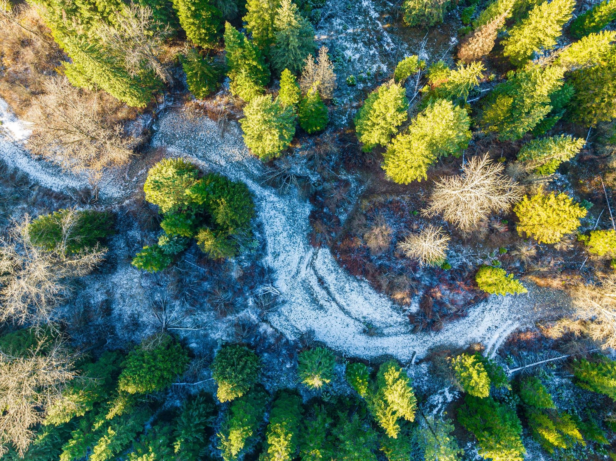 Lot 1C Big Timber Lane