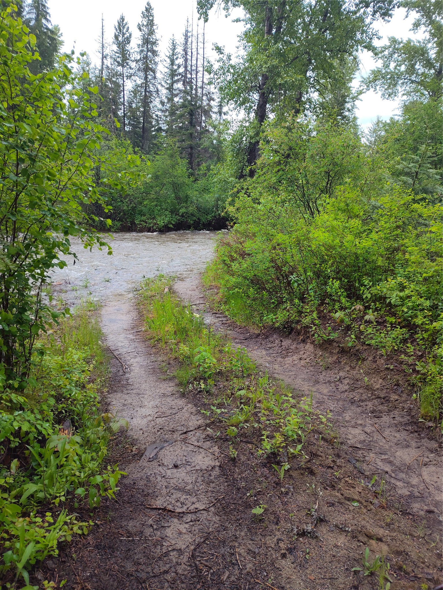 Lot 1C Big Timber Lane